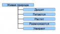 Миниатюра для версии от 17:03, 18 февраля 2009