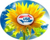 Логотип команды USB.jpg