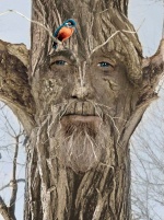 Человек-дерево.jpg