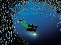 The-great-barrier-reef-of-australia04.jpg