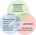 Миниатюра для версии от 21:30, 12 октября 2013